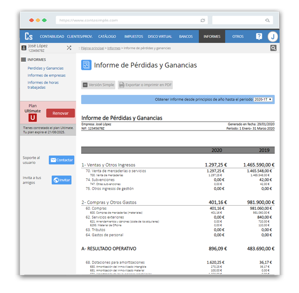 Informe de pérdidas y ganancias